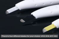 ब्लिस्टर पैकिंग स्थायी मेकअप उपकरण / प्लास्टिक डिस्पोजेबल मैनुअल पेन